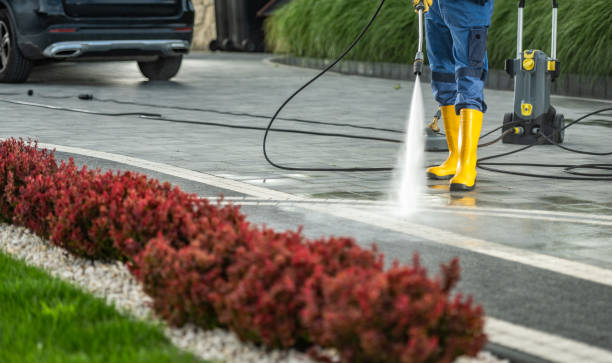 Best Patio and Deck Pressure Washing  in Ledbetter, KY